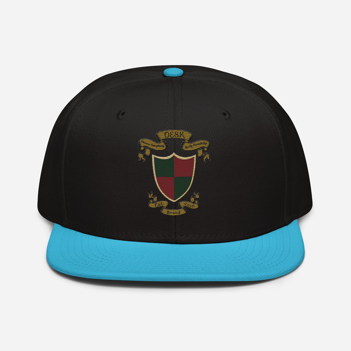 OESK Brand Logo (Snapback)