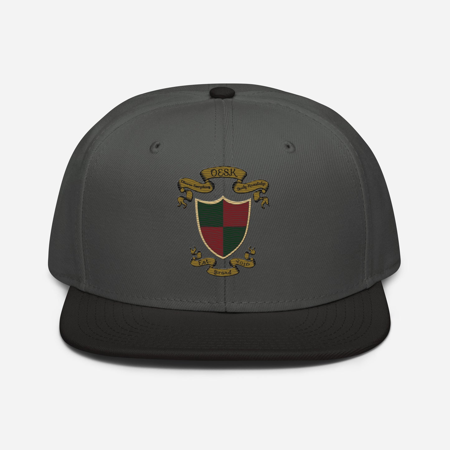 OESK Brand Logo (Snapback)