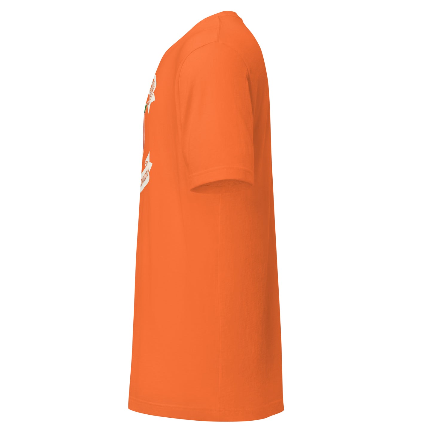 Yamsburgh T-shirt (Color way Options 3)