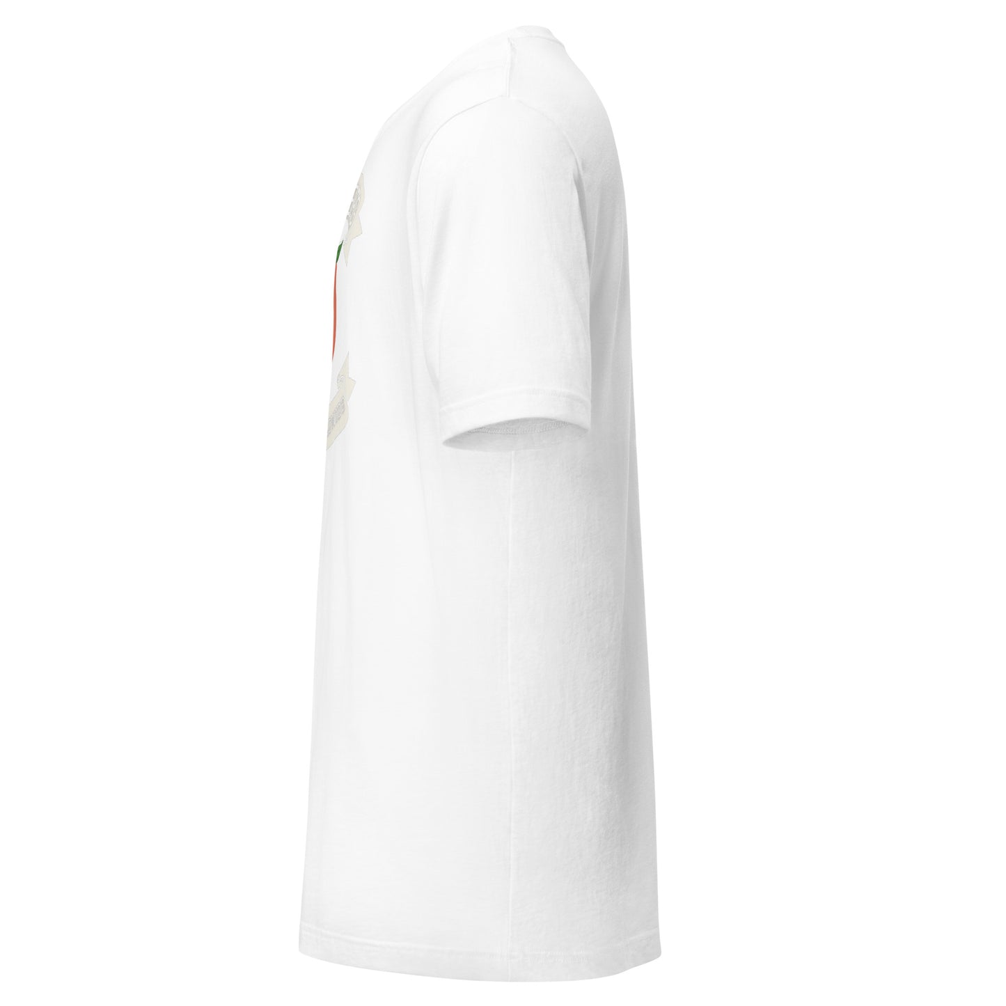 Yamsberg T-shirt (Color way Options 4)